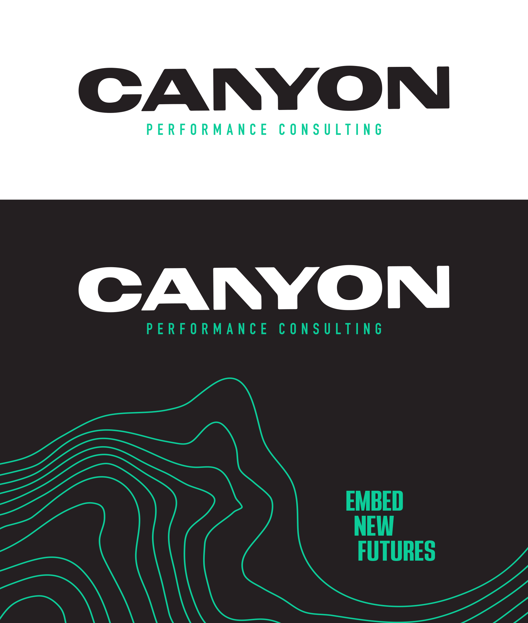 BEVIN CREATIVE – Canyon Performance Consulting
