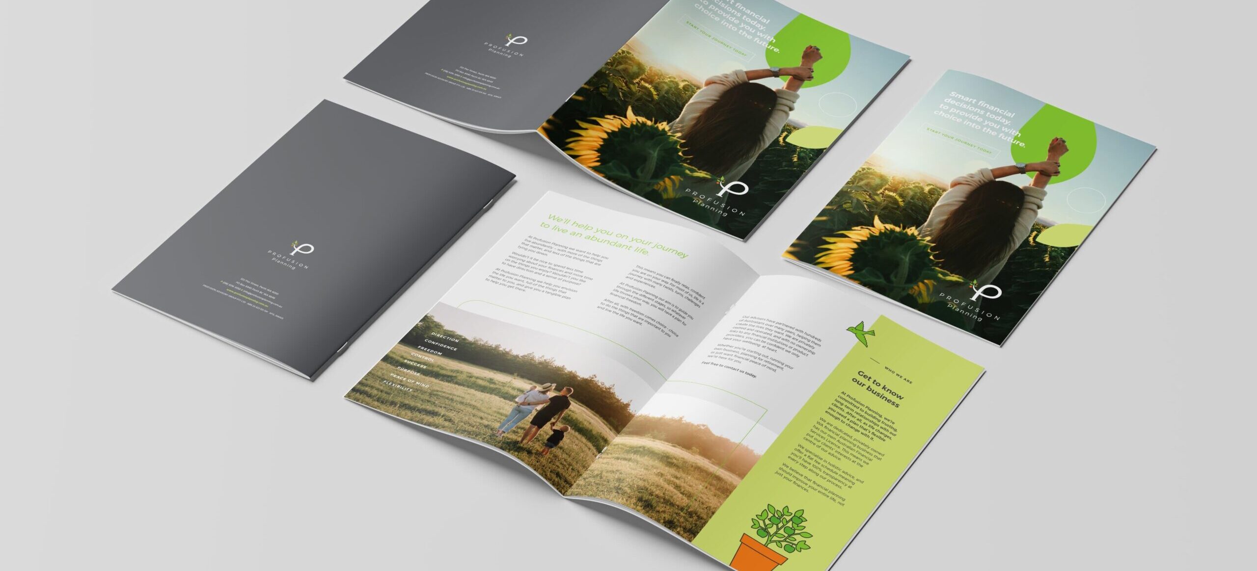BEVIN CREATIVE – Profusion Planning – Brochure Mockup 1