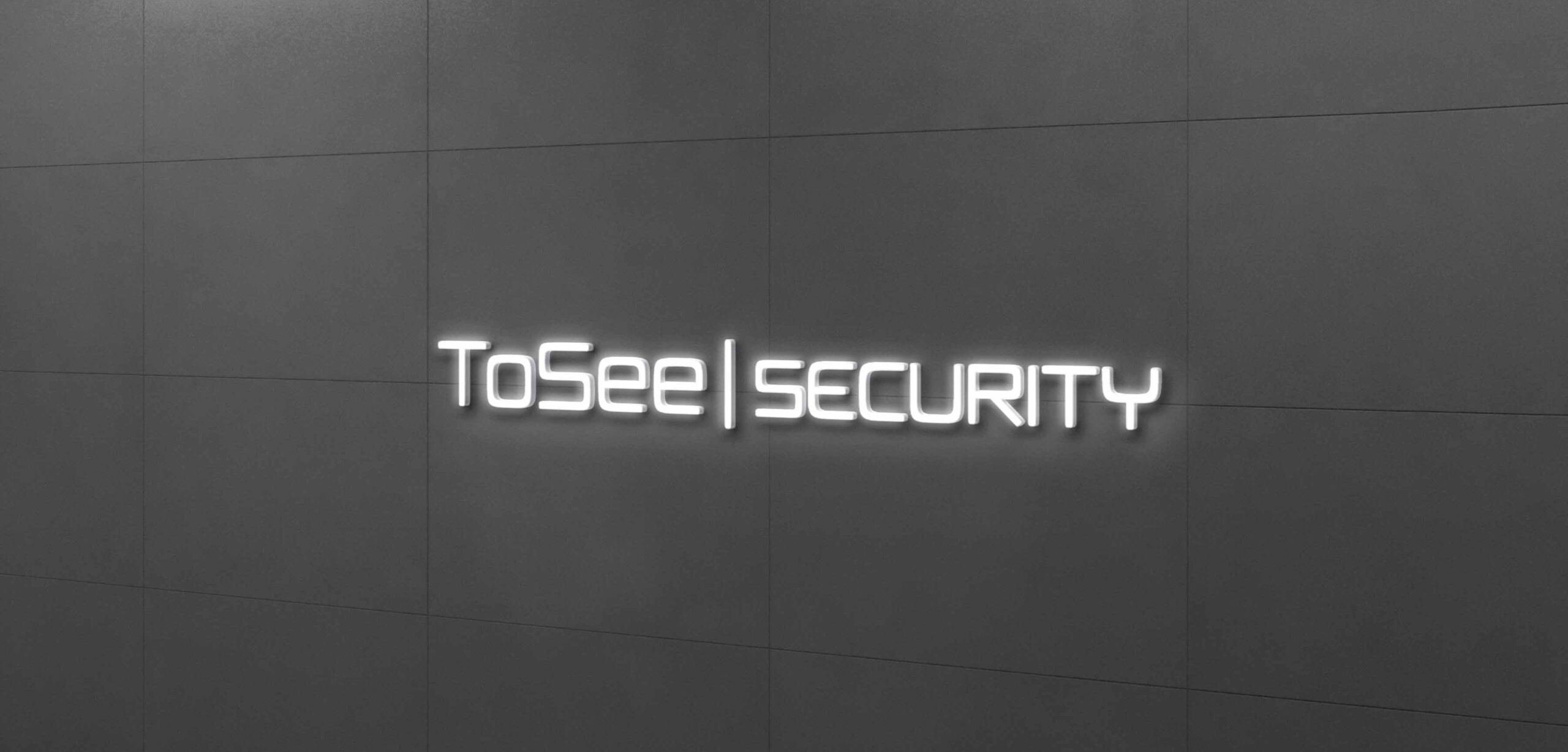 TOSEESECURITY – LOGO MOCKUP
