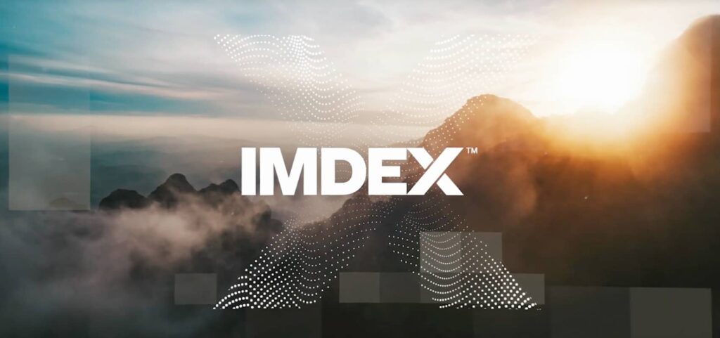 IMDEX 2022 Financial Highlights